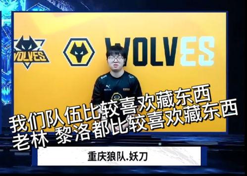 葛大爷爆料狼队视频大全,狼队视频大全背后的精彩瞬间 第3张 葛大爷爆料狼队视频大全,狼队视频大全背后的精彩瞬间 第3张