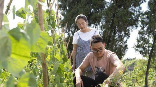 川乡小妹爆料视频最新 第3张 川乡小妹爆料视频最新 第3张