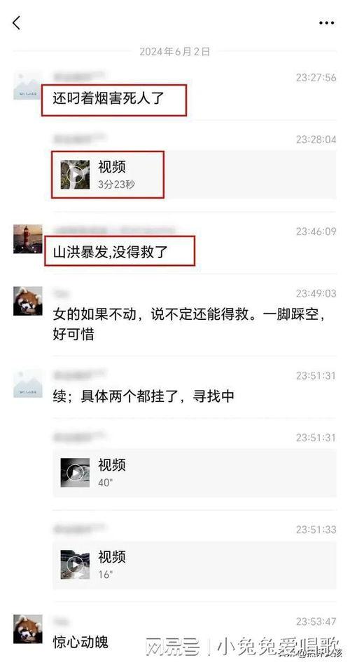 陈泽爆料聊天记录视频下载  第3张